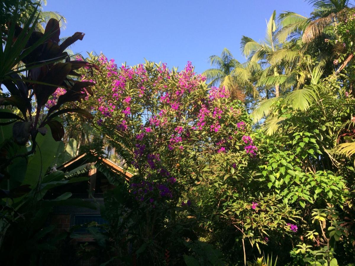 Pousada Do Oasis موريتيس المظهر الخارجي الصورة