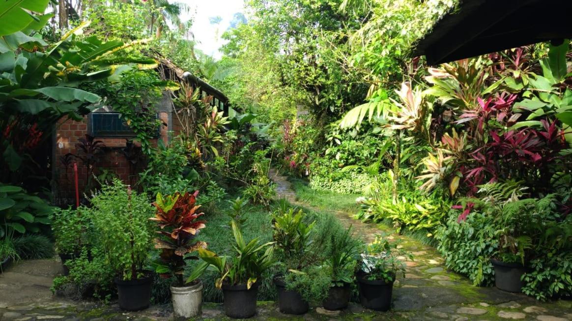 Pousada Do Oasis موريتيس المظهر الخارجي الصورة