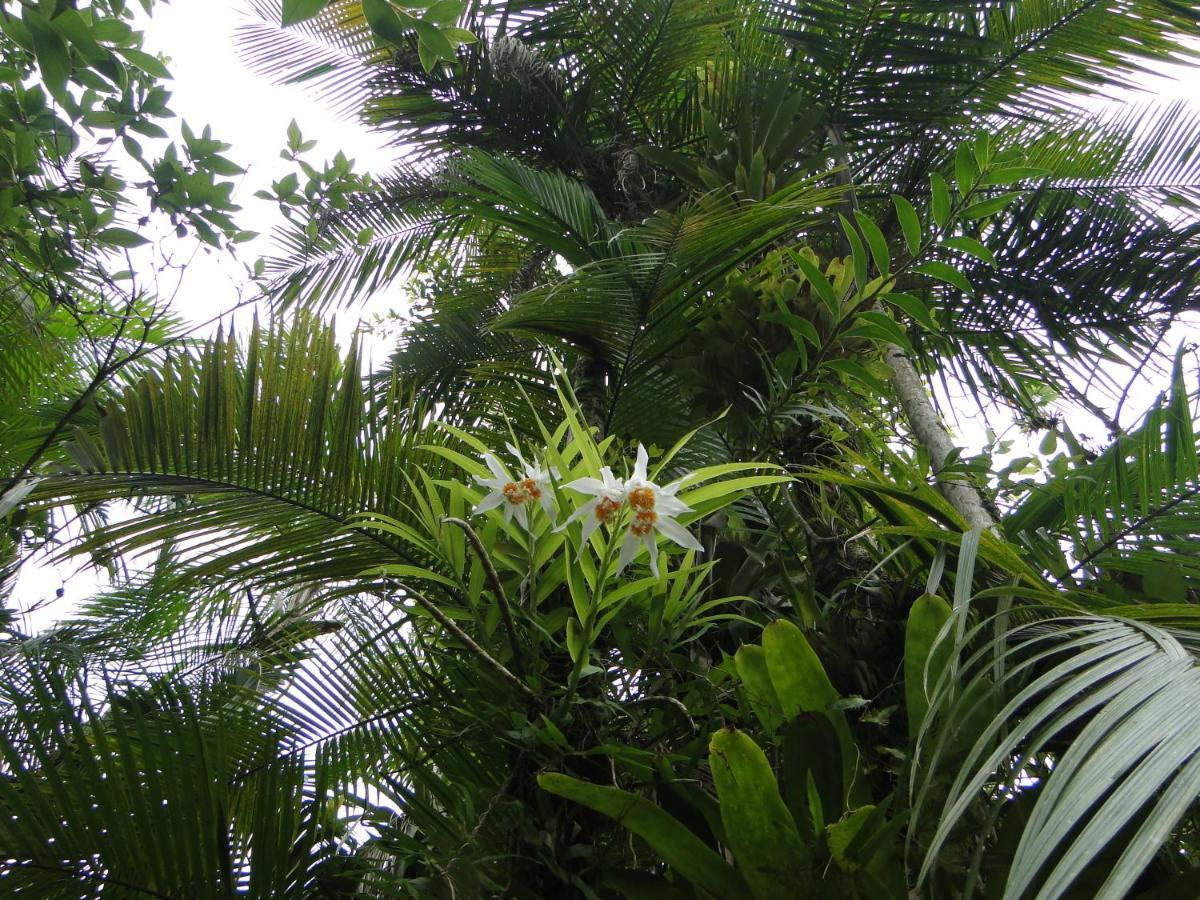 Pousada Do Oasis موريتيس المظهر الخارجي الصورة